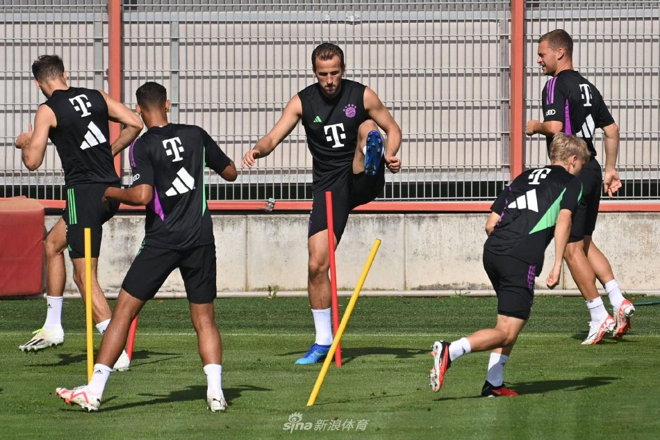 高水平队友 高水平队友